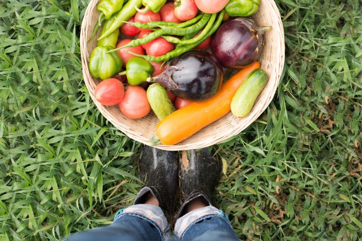 Farmers markets nearby – The Row Townhomes, Townhomes for Rent between Factoria and Bellevue, Washington 98006 Farmers markets nearby - The Row Townhomes, Townhomes for Rent between Factoria and Bellevue, Washington 98006